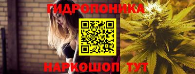 сатива Кулебаки